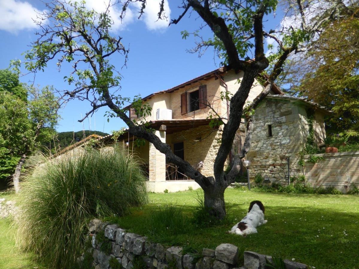 Landhaus La Casa Paterna Monte Santa Maria Tiberina